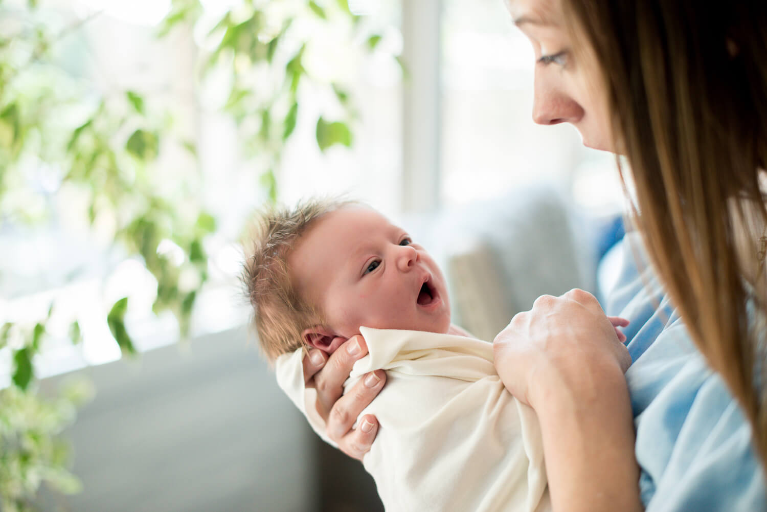 newborn session aln images